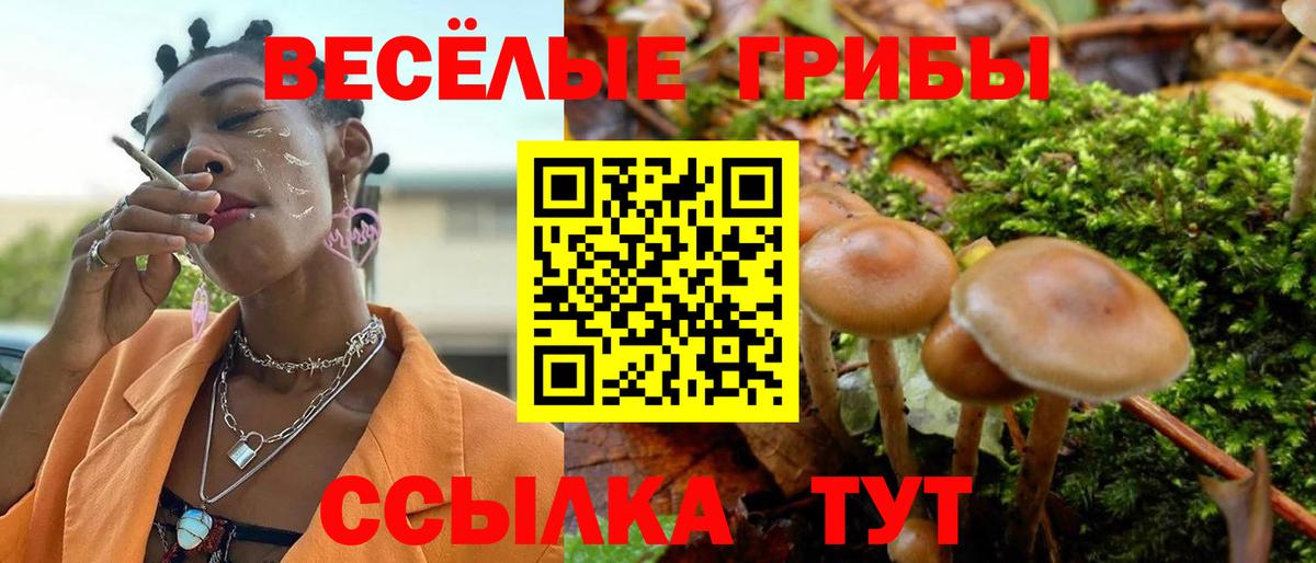 Галлюциногенные грибы Psilocybe Учалы